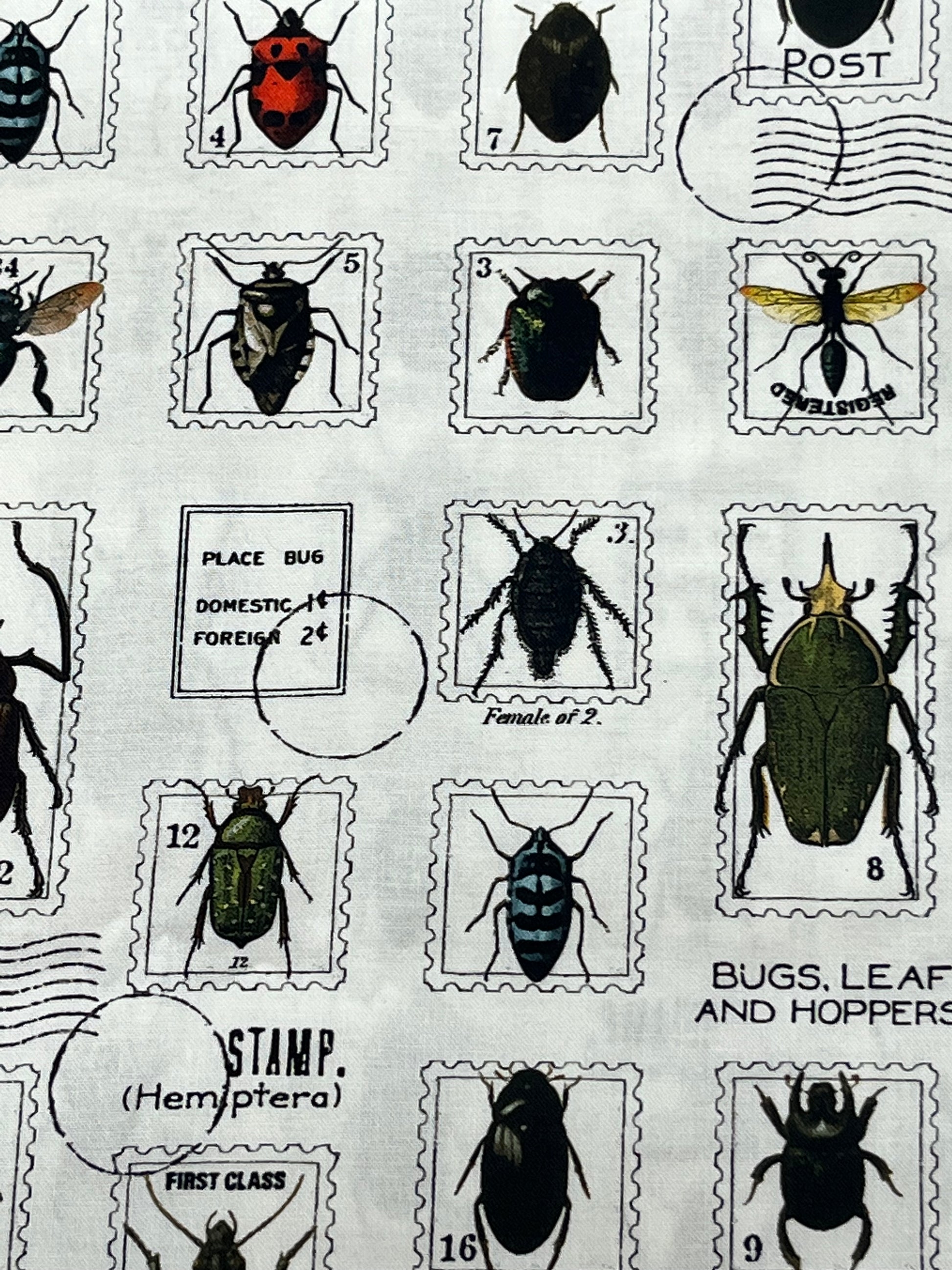  Insect Stamp Designs for Quilting & Crafts